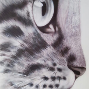 Kursbild Katze