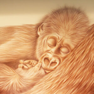 Kursbild Schimpansen Baby