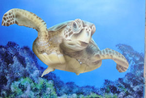 Kursbild Wasser-Schildkröte