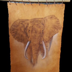 Kursbild Elefant