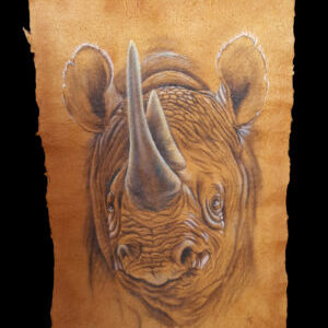 Kursbild Nashorn