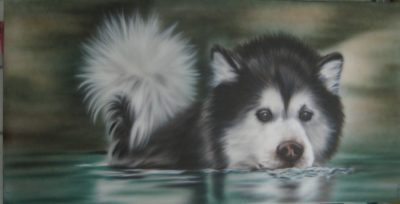 Kursbild Husky im Wasser
