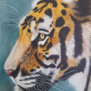 Kursbild Tiger